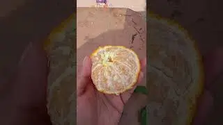 orange#mostpopular#viralshort#viralvide#quran#quranrecitation#hadees#hadis#hadeesinurdu#hadeessharif