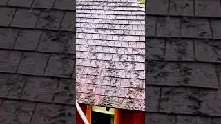 cleaning thick moss from a wooden tile roof with a high pressure water sprayer for a fresh look
