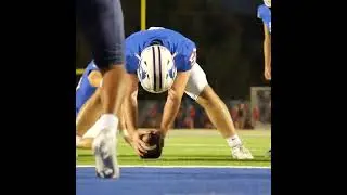 D1 bound deep snapper