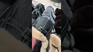 MWFur Winter Men's and Women's Fur Hat Windproof Cycling Ski Ear Cap Rex Rabbit with Sheepskin Hat