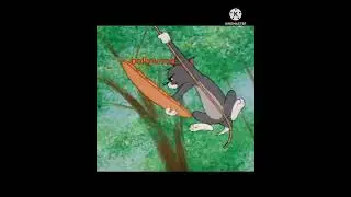 Tom and Jerry ( kGF2)