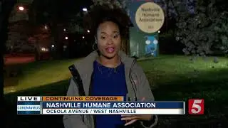 Animal rescues need financial help during COVID-19 pandemic