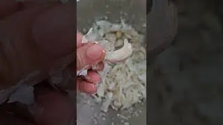 Do Garlic Peelers really work? Reviewing AGARO ELECTRIC CHOPPER bought in Big Billion Days Sale