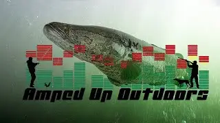 The Amped Up Life!