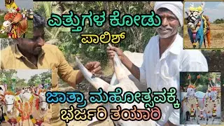 ಎತ್ತುಗಳ ಅಲಂಕಾರ ಮಾಡಲು ಕೊಂಬುಗಳ ಪಾಲಿಷ್ ಮಾಡುವುದು 