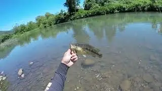 ULTRALIGHT PEGA MUITO PEIXE  #ultralightfishing #spoonfishing