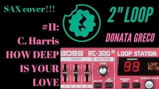 [BOSS RC 300 Loop Station] Calvin Harris & Disciples - How Deep Is Your Love: 2 Minutes Loop #11