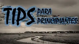 10 Tips Para Principiantes de IVAO y VATSIM