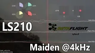 LS210 maiden @4kHz with blackbox overlay
