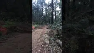 Mountain Bike frame crack #shorts