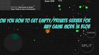 [Blob.io] How to Join Private Server