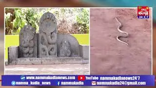Namma Kudla Tulu news:Naga appeared in belal ananthodi Sri anatha padmanabha temple