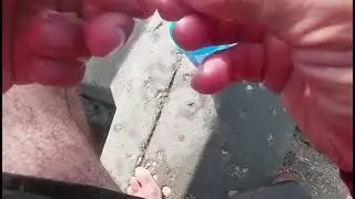 جبت اكتر من 15 كيلو بوري بسن واحد ازاي بقا اتفرج للآخر🤯