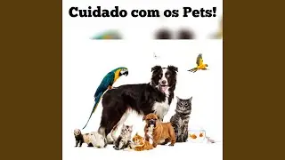 Cuidado Com os Pets!