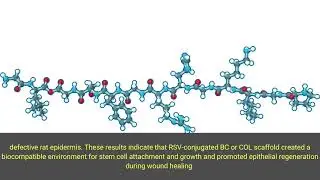 Bio-applications of Bacterial Cellulose and Type I Collagen Conjugated with Resveratrol