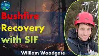 Bushfire recovery and how remote sensing and SIF can contribute to it.