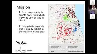 Backyard Trees in the Native Landscape
