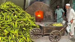HOW THEY COOKING CORN IN COAL SAND | CORN HARVESTING At Mass Production Factory | Pakistan