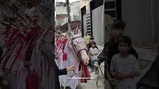 20 safar #zuljanah #shorts #juloos #muslim #viralvideo