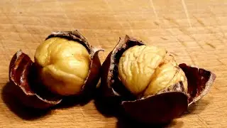 Roasted Chestnuts - Toby's BBQ Corner