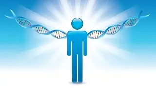Epigenetics and Nutrigenomics | Nutrigenomics - What You Need To Know !  Dr. Michael Veselak, D.C