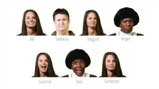 AFFDEX SDK: A Cross-Platform Real-Time Multi-Face Expression Recognition Toolkit