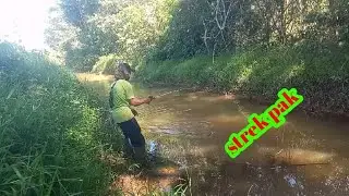 CASTINK IKAN GABUS