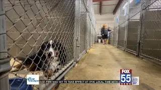 Noble County Sheriff&rsquo;s Department arrested a woman who now faces 26 charges of animal cruelty.