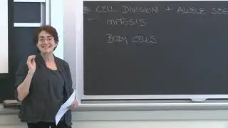 Lecture 4.2: Inheritance and Genetics  &mdash; Allele Segregation