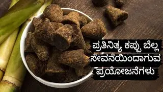 health benefits of jaggery|ಪ್ರತಿನಿತ್ಯ ಕಪ್ಪು ಬೆಲ್ಲ ಸೇವನೆಯಿಂದಾಗುವ ಪ್ರಯೋಜನೆಗಳು|Kaapi's kitchen