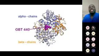 GP Training: Novel therapies in Sickle Cell
