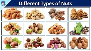 Different types of nuts | Types of Nuts | Nuts Vocabulary in English | 50 - Types Of Nuts | Nuts