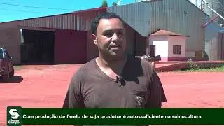 Com produção de farelo de soja produtor é autossuficiente na suinocultura