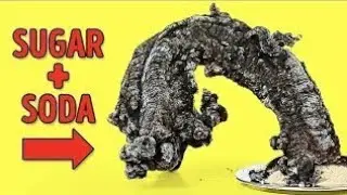 6 AMAZING SCIENCE EXPERIMENTS SUGAR TO DO AT HOME! SCIENCE MR. STAR ON FIRE #3Day #10dayschallenge
