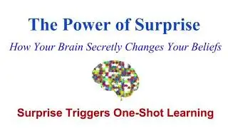 #4 How Surprise Triggers One-Shot Learning