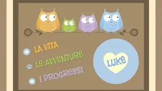 VITA, AVVENTURE E PROGRESSI DI LUKE - SECONDO VIDEO