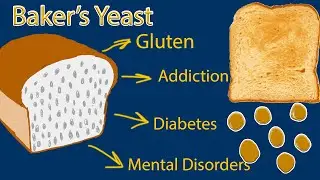Is Bread yeast harmful for you? Baker&rsquo;s yeast. How safe is eating bread?