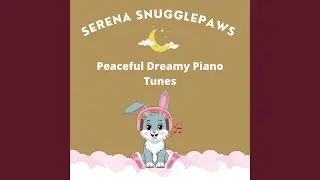 Tender Piano Instrumental Melodies