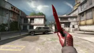 M9 Crimson Web Factory New & Driver Gloves Crimson Weave FN - Showcase