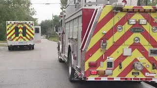 Emergency crews respond to reports of several people injured in dog attack