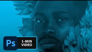 Make Complex Selections with Photoshop | Adobe Creative Cloud