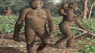 Human Evolution: the complete story of our existence | Primitive human's ancestors story | Aadimanav