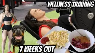7 Weeks Out From Summer Shredding 2024: My Current Wellness Bodybuilding Training Split + FDOE