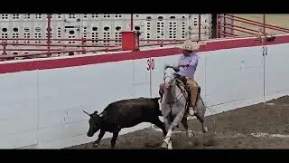 Octubre 11 del 2025 lienzo charro los Gusman pollas 40 y mas y libre 