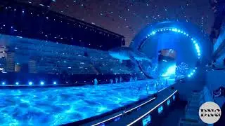 Exploring Two Events in a hour.ADNEC,ABU DHABI