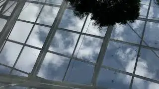 wildlife / Niagara Falls / Butterfly Conservatory/ Shot with I-Phone 8
