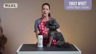 Four in One Dog Shampoo
