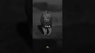 Your Mindset Turns Problems Into Opportunities #discipline #motivation #mindset