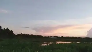 Green Cay Nature Center & Wetlands