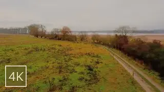Relaxing Nature Walk at Foggy Lake - Oberuckersee 🇩🇪 | Nature Sounds for Sleep and Study, ASMR, 4K